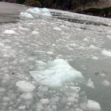 Glacial Ice floating in water